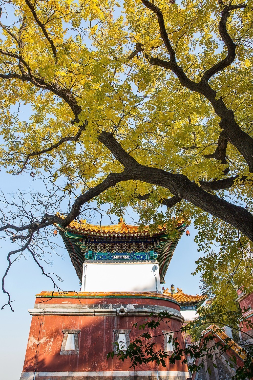 颐和园寻访秋色2019.10.26