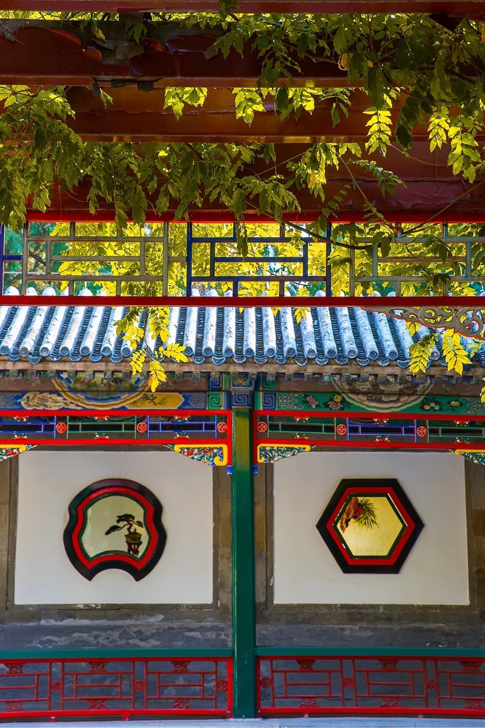 颐和园寻访秋色2019.10.26