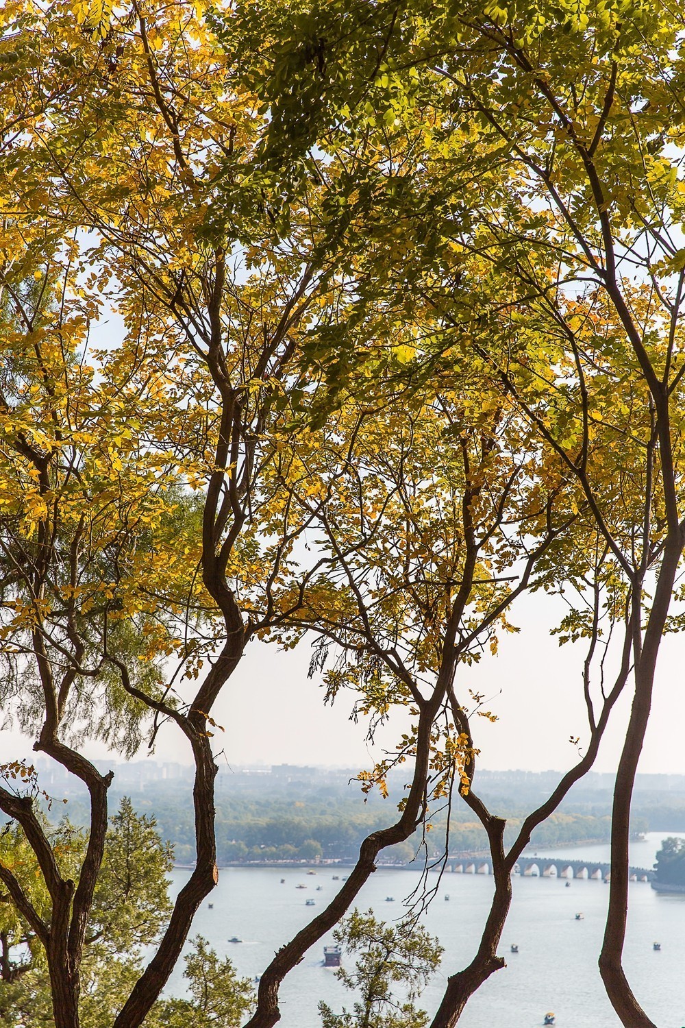 颐和园寻访秋色2019.10.26