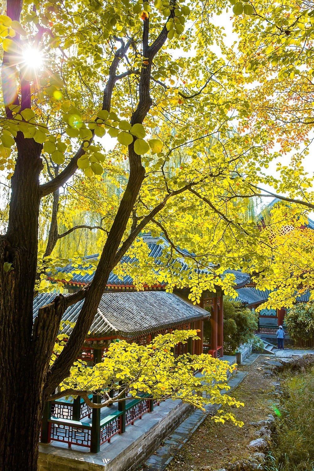 颐和园寻访秋色2019.10.26