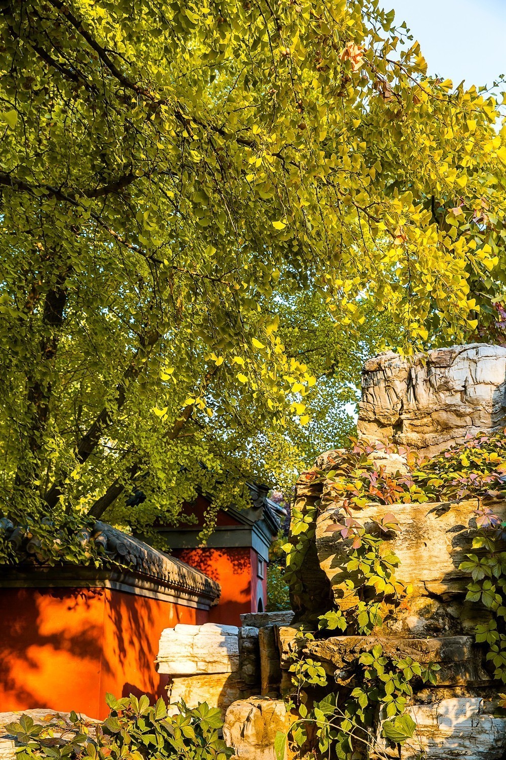 颐和园寻访秋色2019.10.26