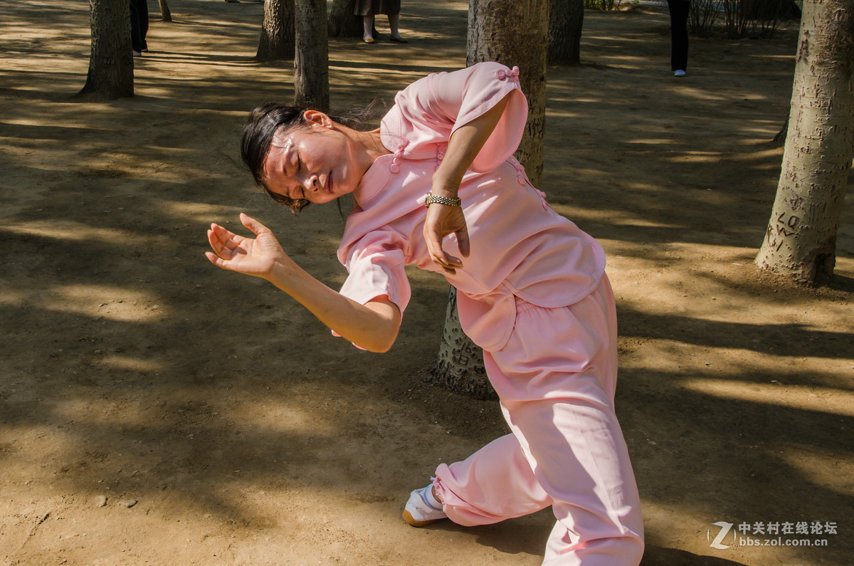 女拳如醉如痴柔美飘逸