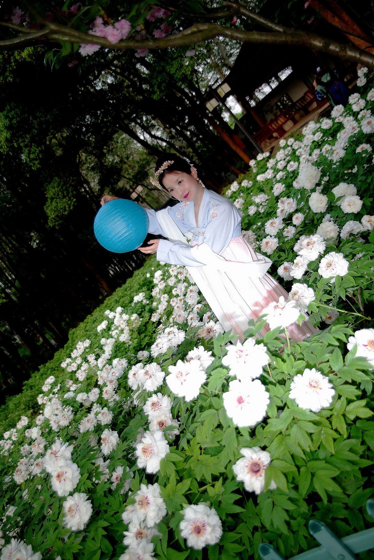 请假貼--环境人像外拍--美女老师赏花在东湖牡丹园！