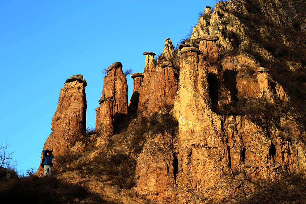 陕北行世界罕见的土柱林