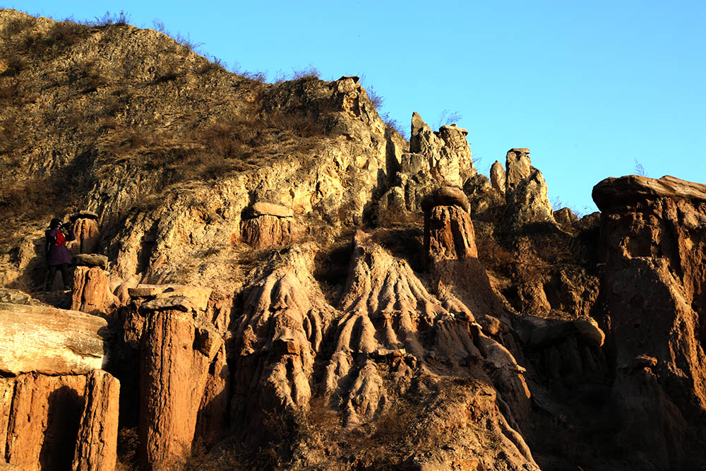 陕北行世界罕见的土柱林