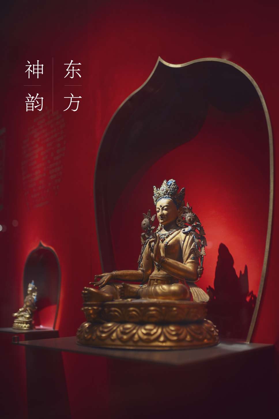 Z6转接适马35 1.4art