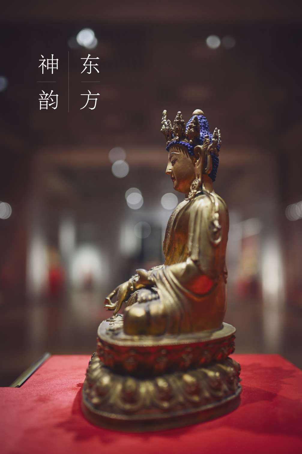 Z6转接适马35 1.4art