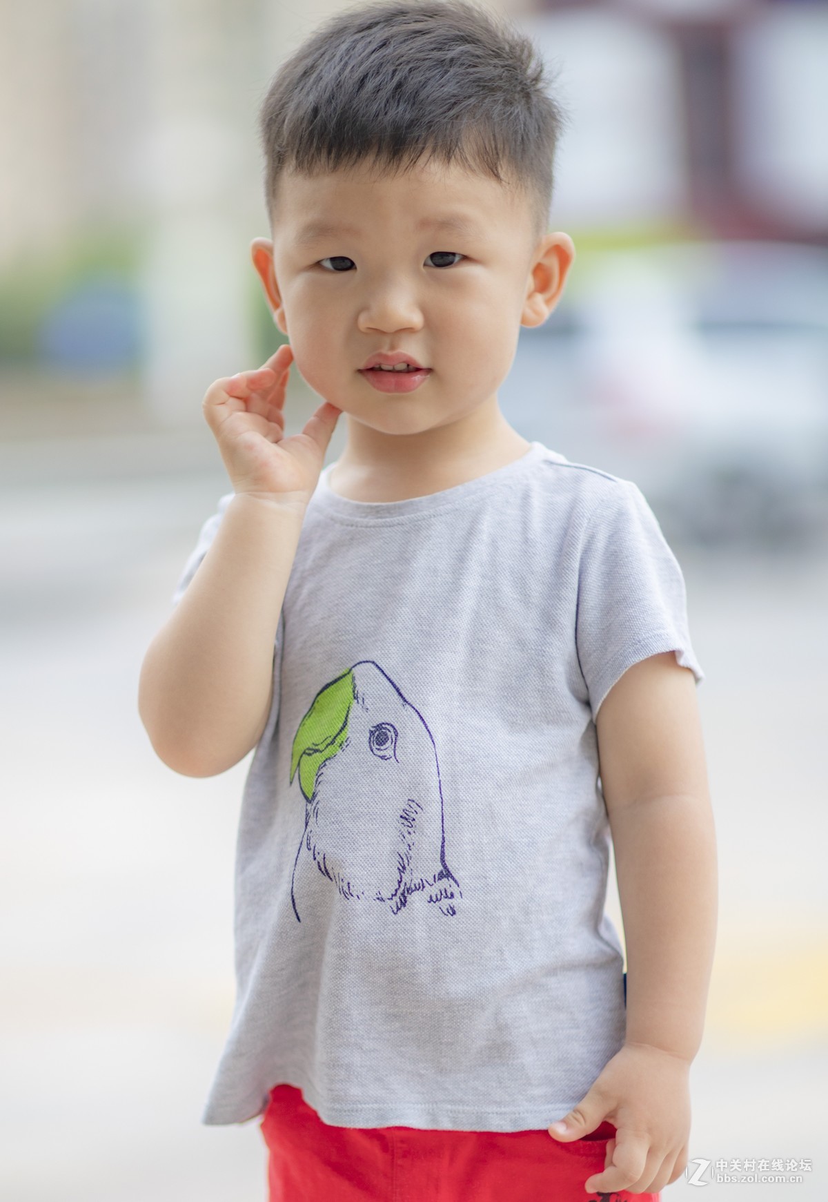 摸索EOS R 转接EF24-70和EF85-1.2