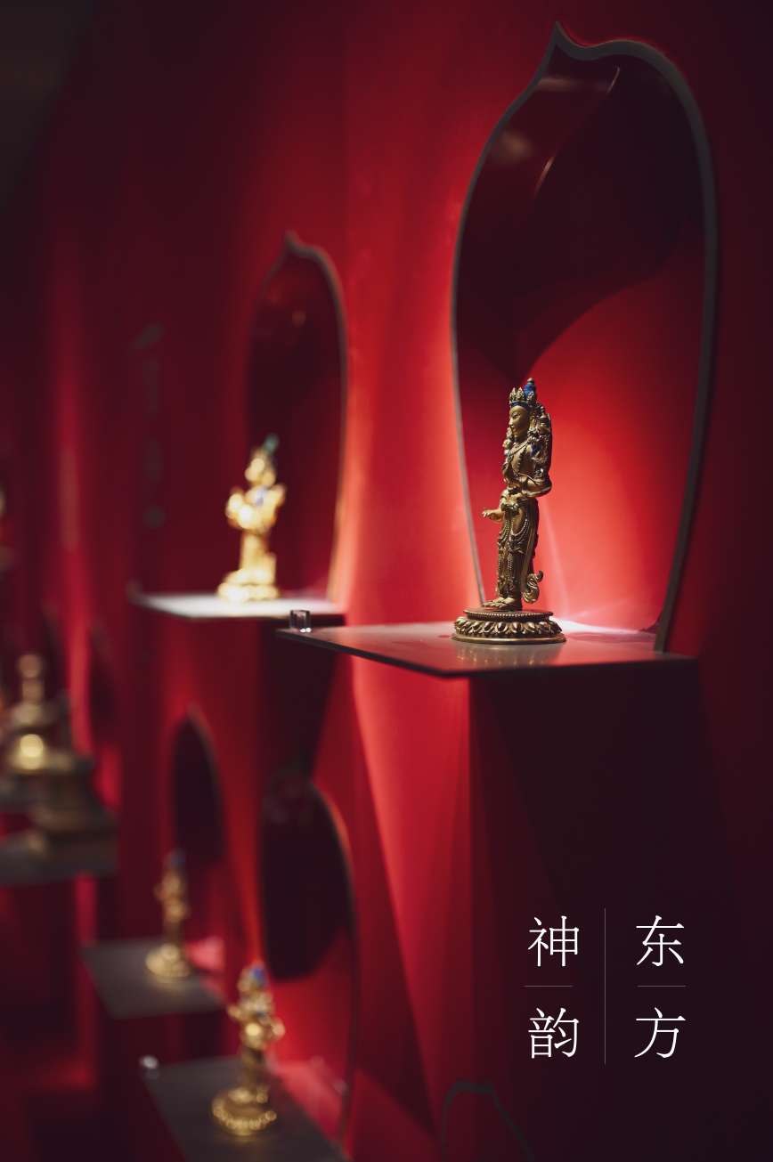 Z6转接适马35 1.4art