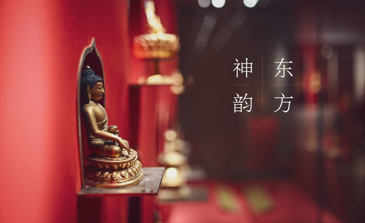 Z6转接适马35 1.4art