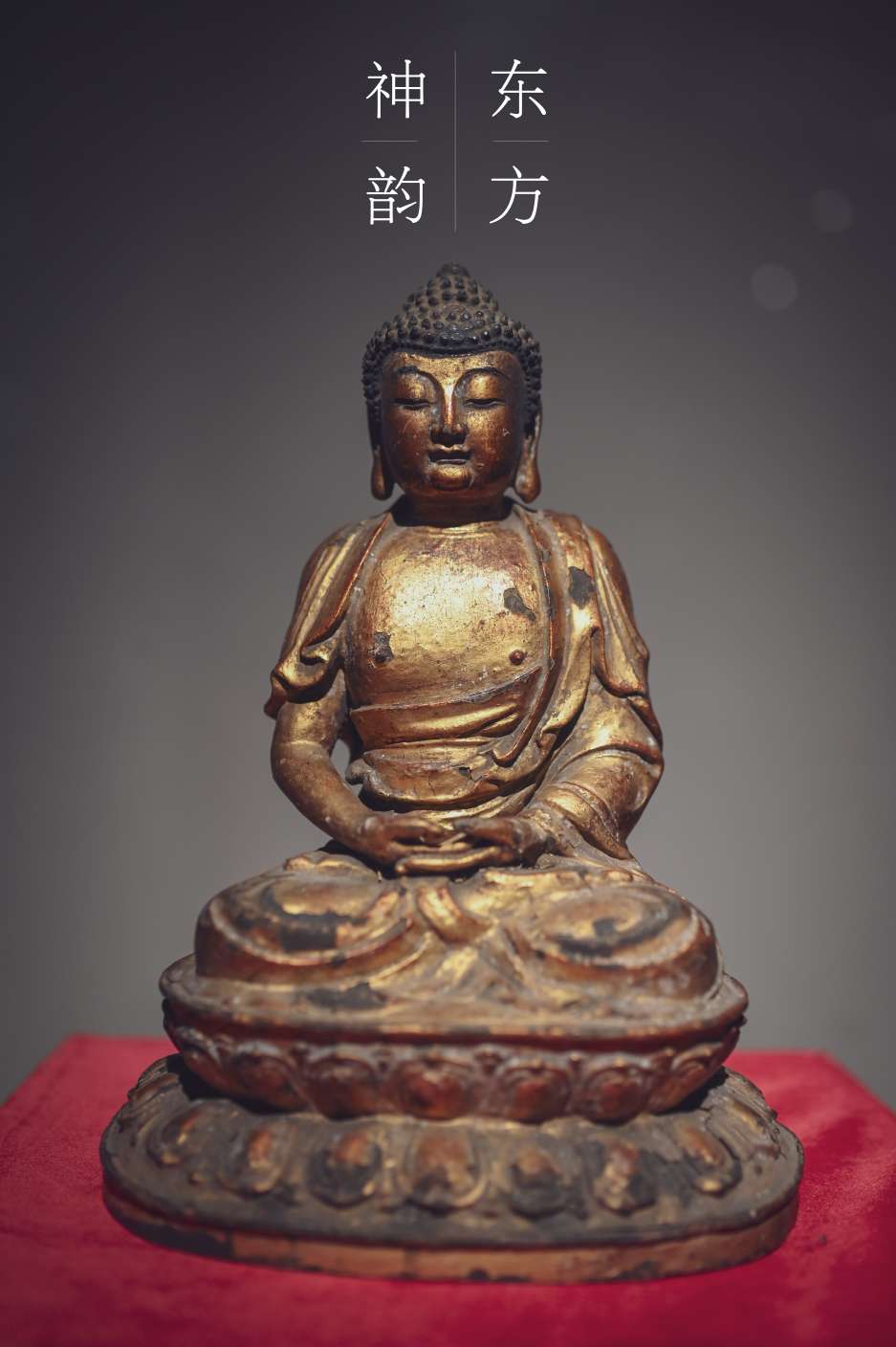 Z6转接适马35 1.4art