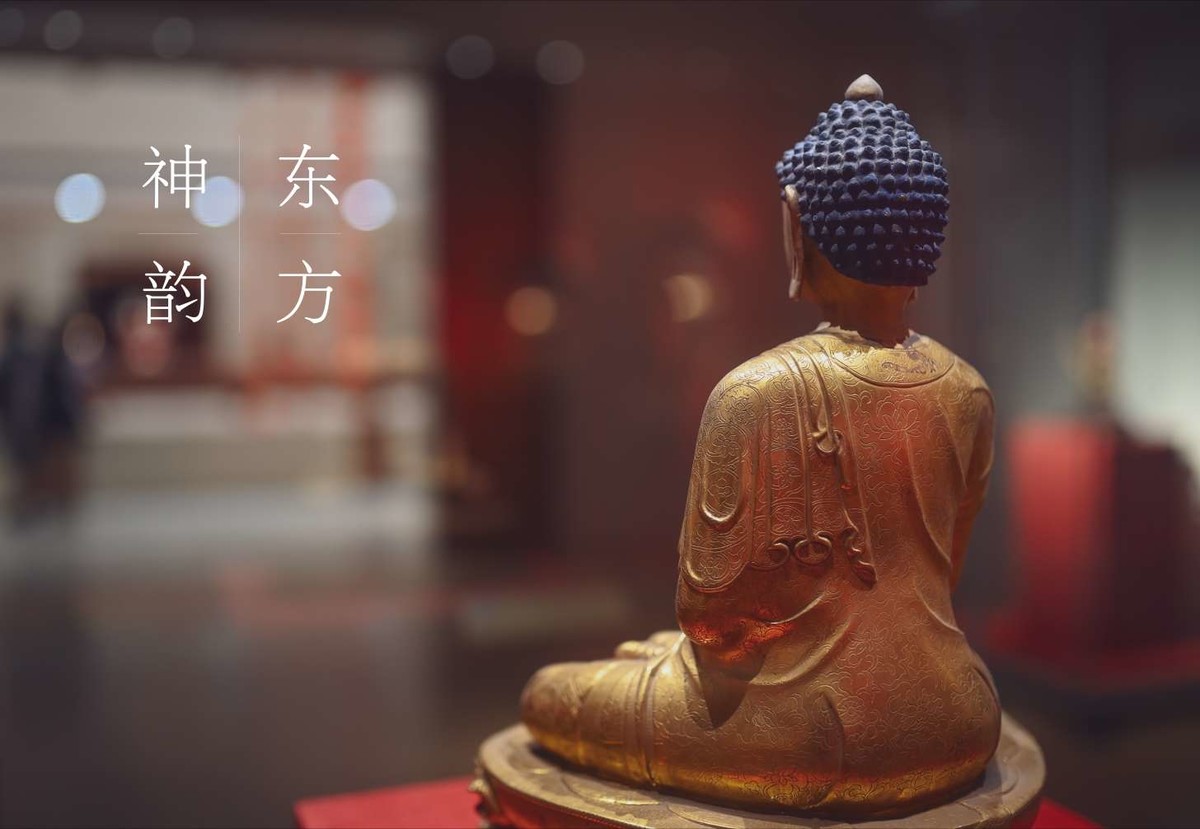 Z6转接适马35 1.4art