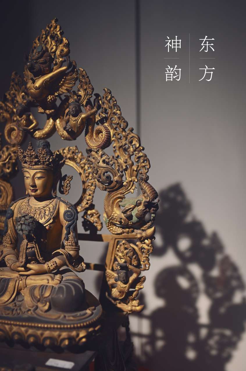 Z6转接适马35 1.4art