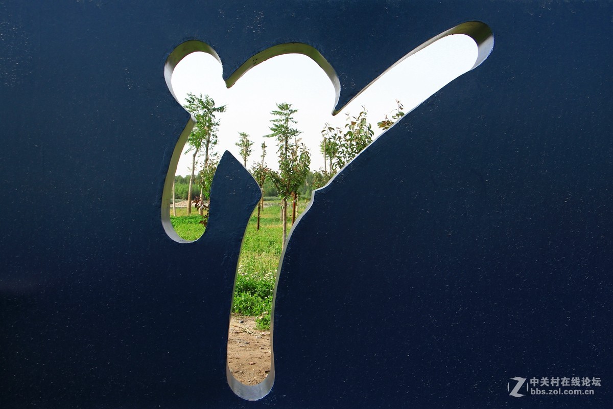 体育项目动作魔版一组