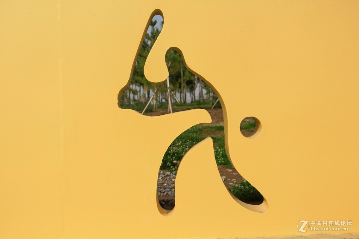 体育项目动作魔版一组