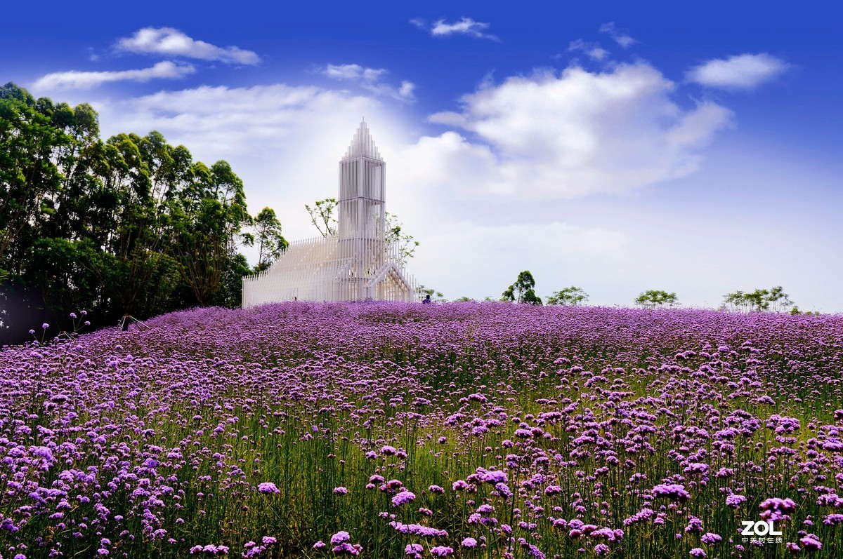 佛山贤鲁岛随拍