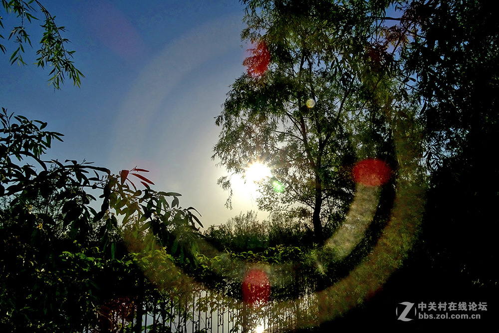 【 HX400拍光环 】