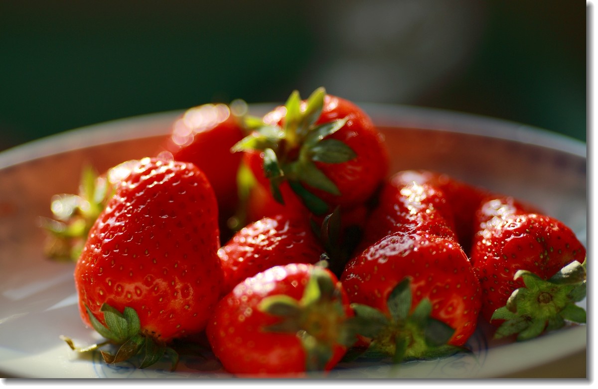 适马50mm  f1.4 Art 静物练习