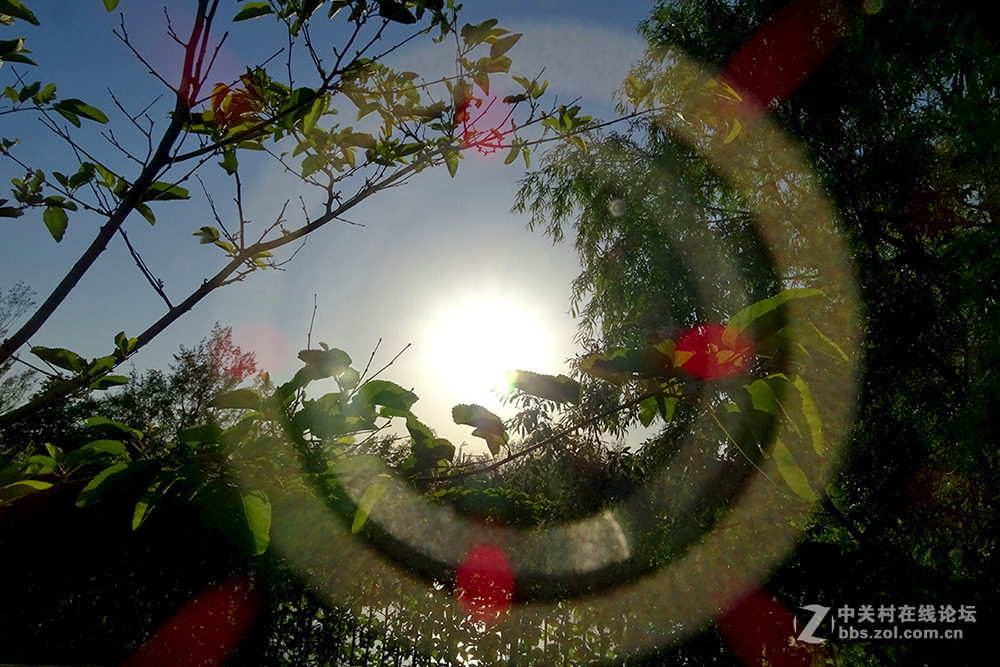 【 HX400拍光环 】