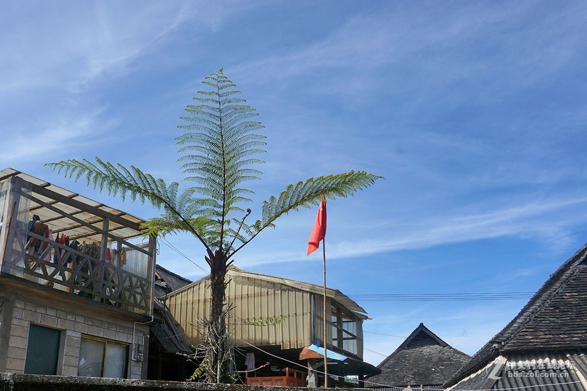 感受哈尼族的“嘎汤帕“节