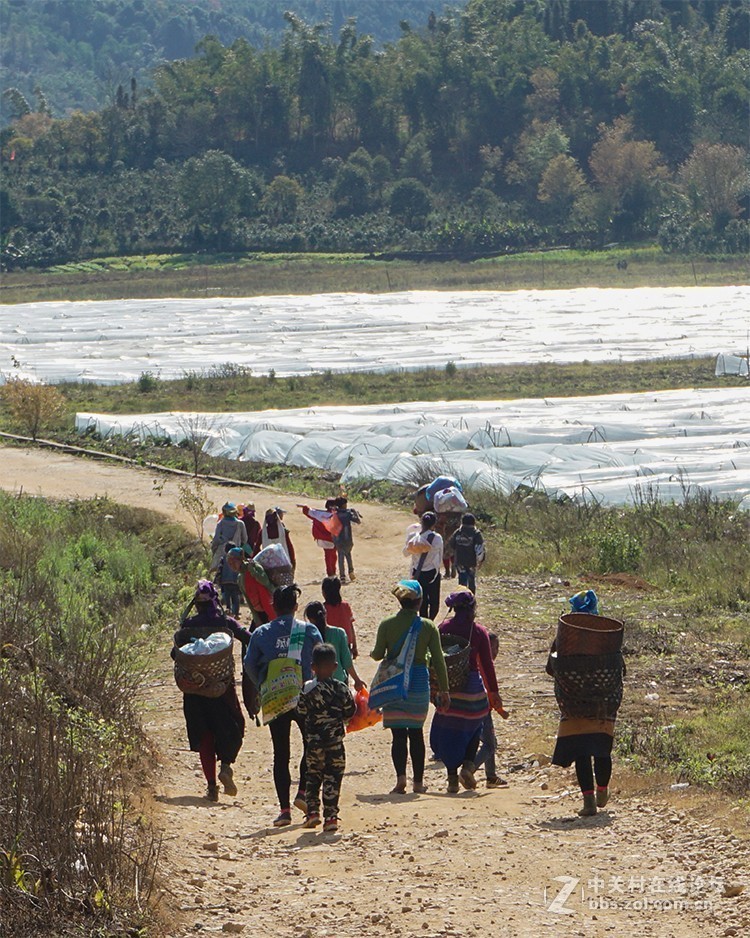 感受哈尼族的“嘎汤帕“节