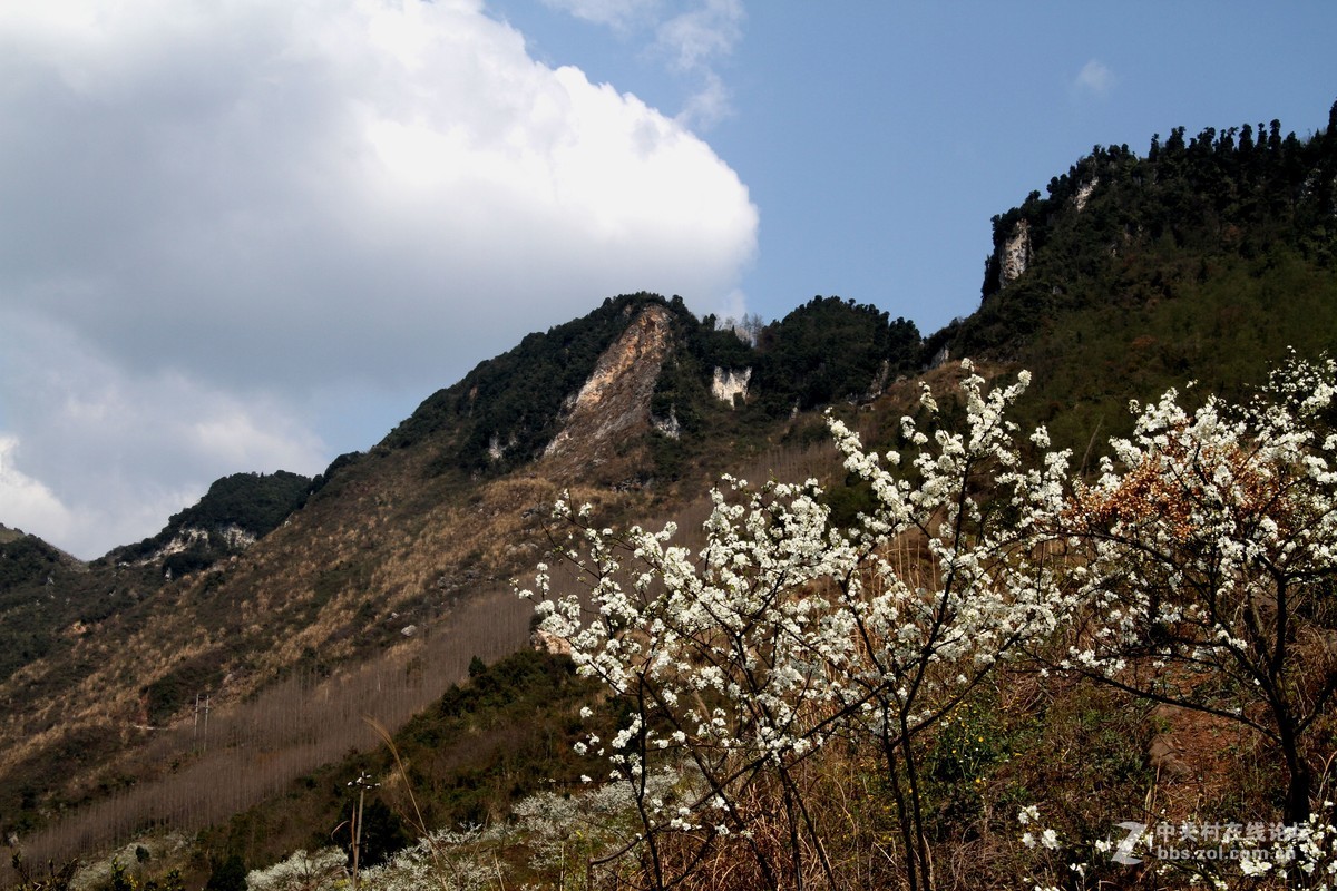 彭州花园沟图片