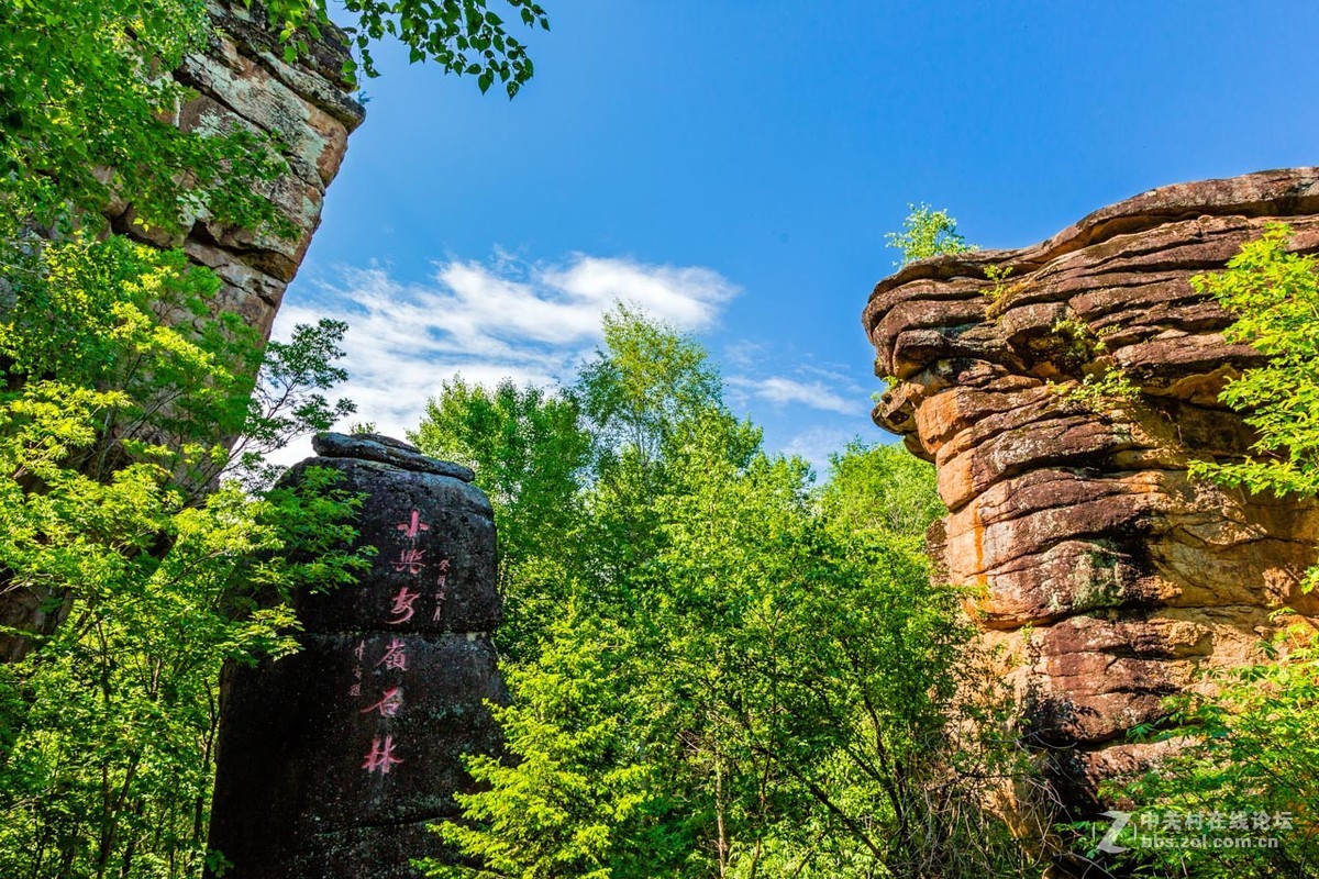 2019汤旺河石林风景区（汤旺河国家公园）_旅游攻略_门票_地址_游记点评,伊春旅游景点推荐 - 去哪儿攻略社区