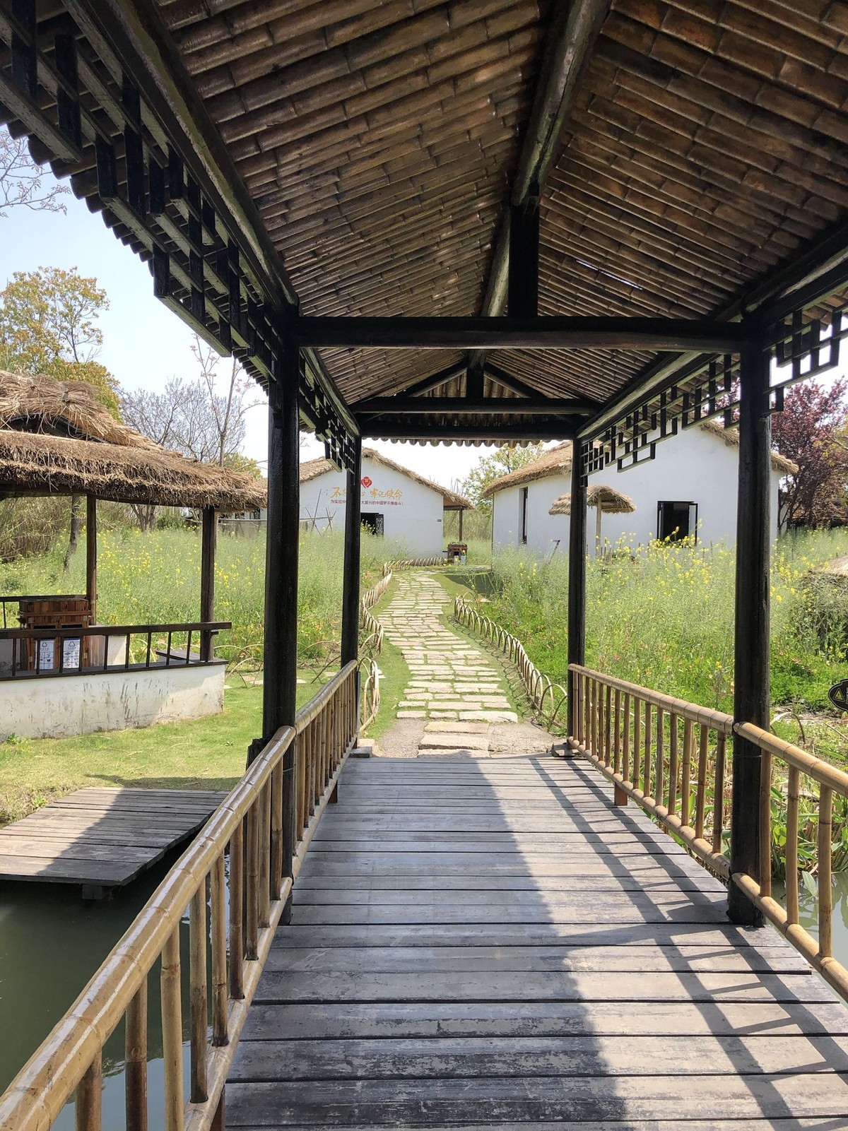 iPhonex 日常拍照样张