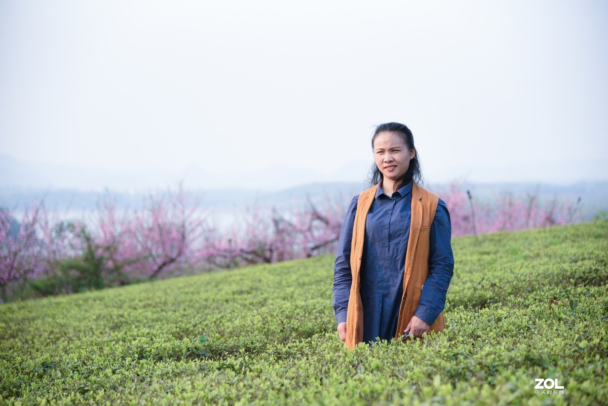 周未—平坝赏樱花