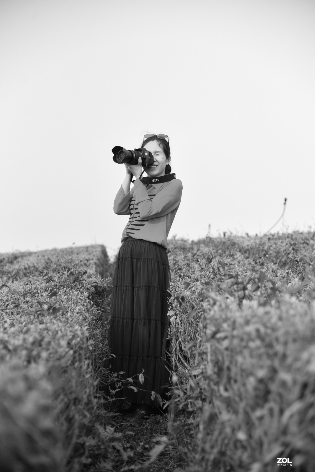 周未—平坝赏樱花