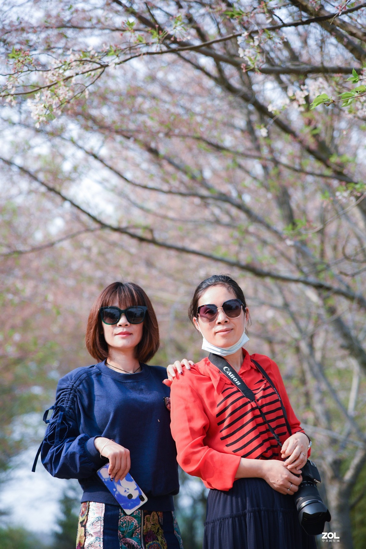 周未—平坝赏樱花