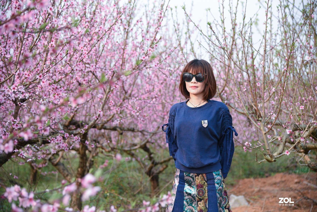 周未—平坝赏樱花