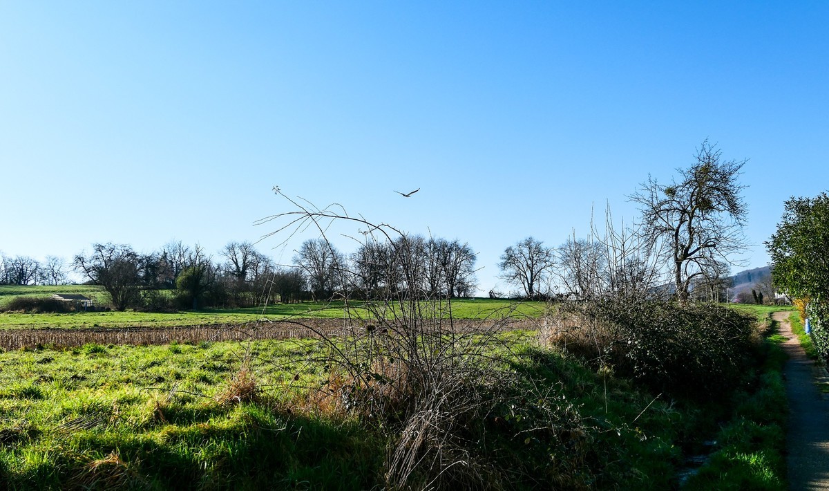 春天来了--拜望兄弟星空(中国),祝师友顺利安康!!