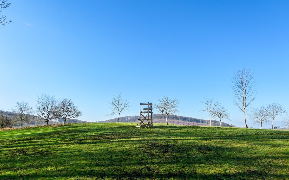 春天来了--拜望兄弟星空(中国),祝师友顺利安康!!