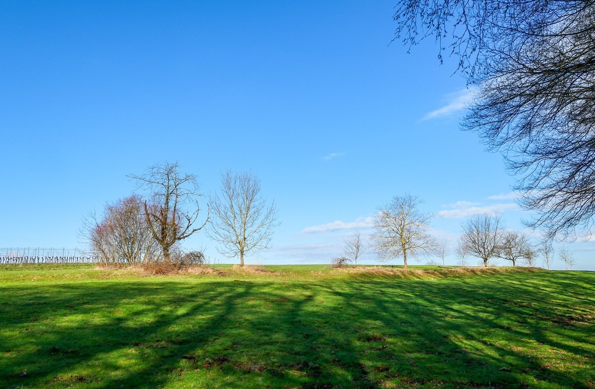 春天来了--拜望兄弟星空(中国),祝师友顺利安康!!