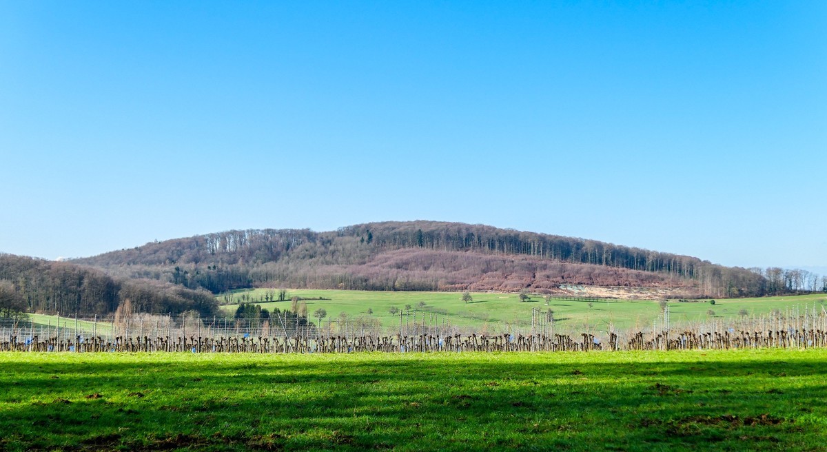 春天来了--拜望兄弟星空(中国),祝师友顺利安康!!