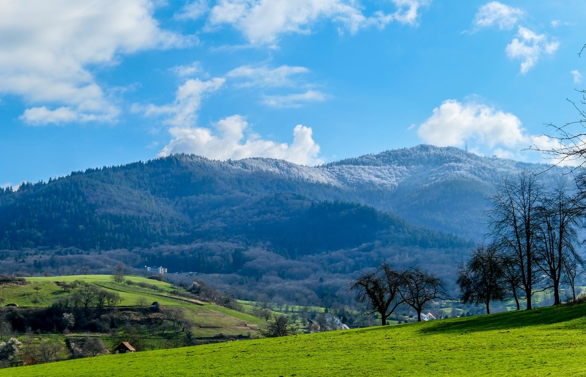 春天来了--拜望兄弟星空(中国),祝师友顺利安康!!