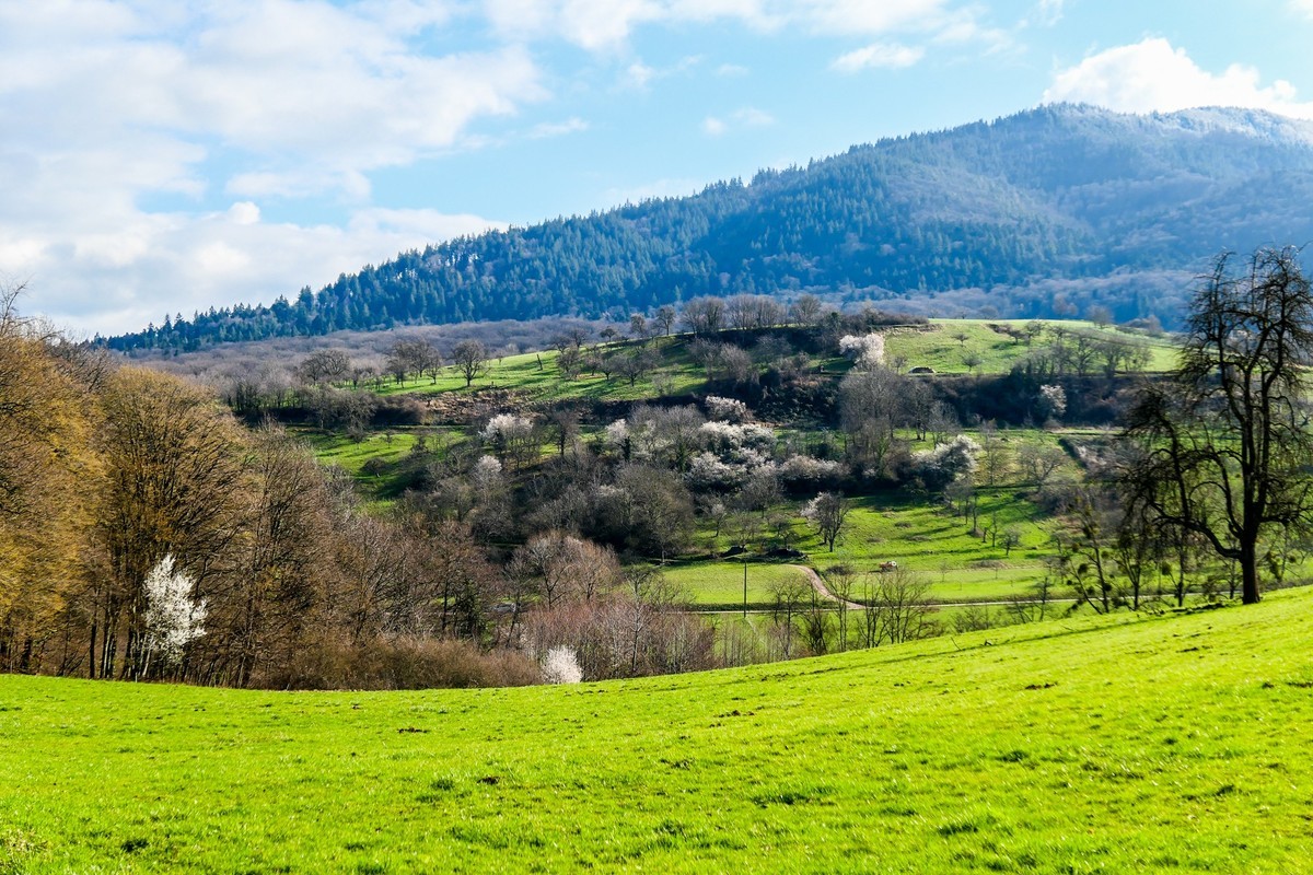 春天来了--拜望兄弟星空(中国),祝师友顺利安康!!