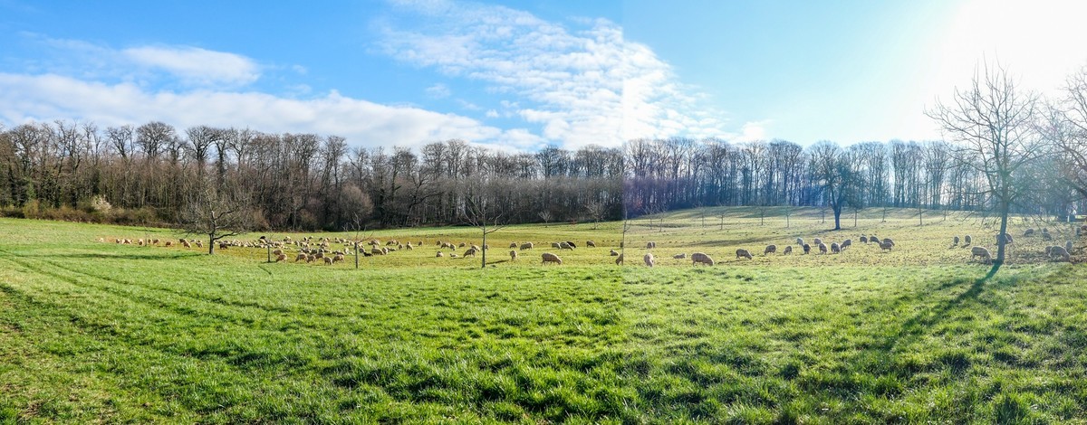 春天来了--拜望兄弟星空(中国),祝师友顺利安康!!