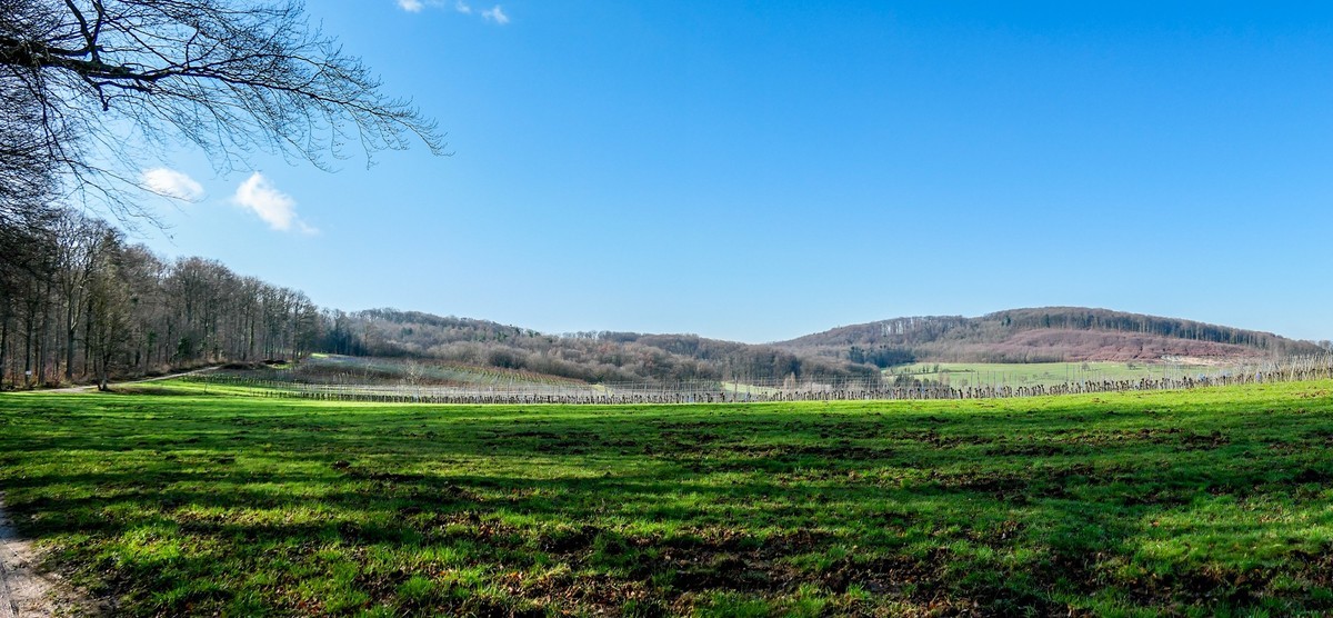 春天来了--拜望兄弟星空(中国),祝师友顺利安康!!