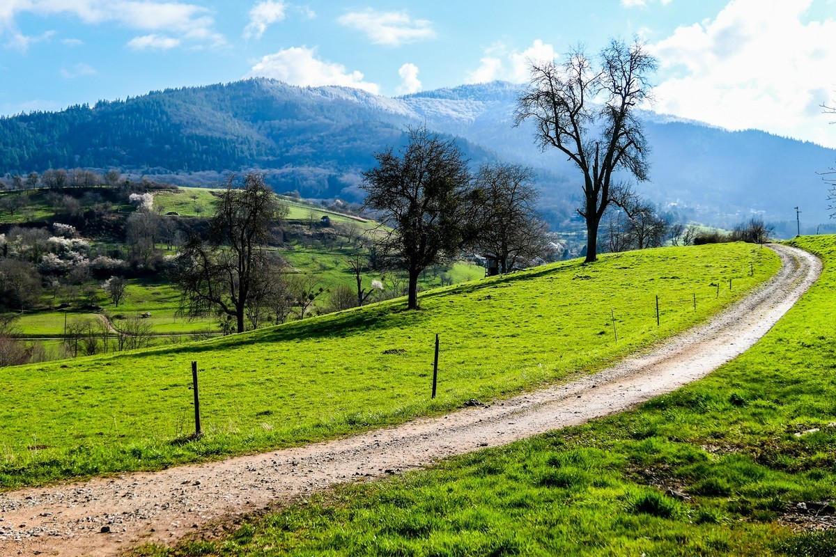 春天来了--拜望兄弟星空(中国),祝师友顺利安康!!