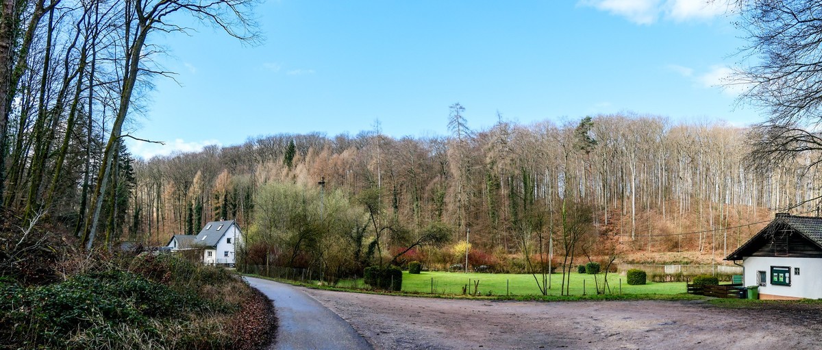 春天来了--拜望兄弟星空(中国),祝师友顺利安康!!