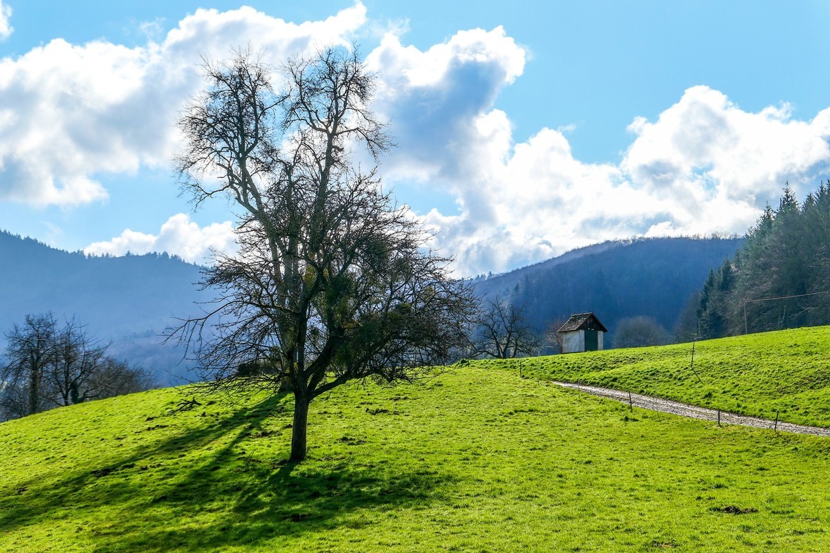 春天来了--拜望兄弟星空(中国),祝师友顺利安康!!