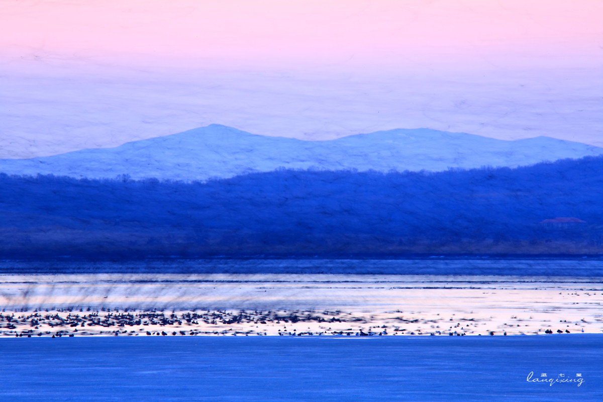 东北亚金三角敬信湿地观鸟