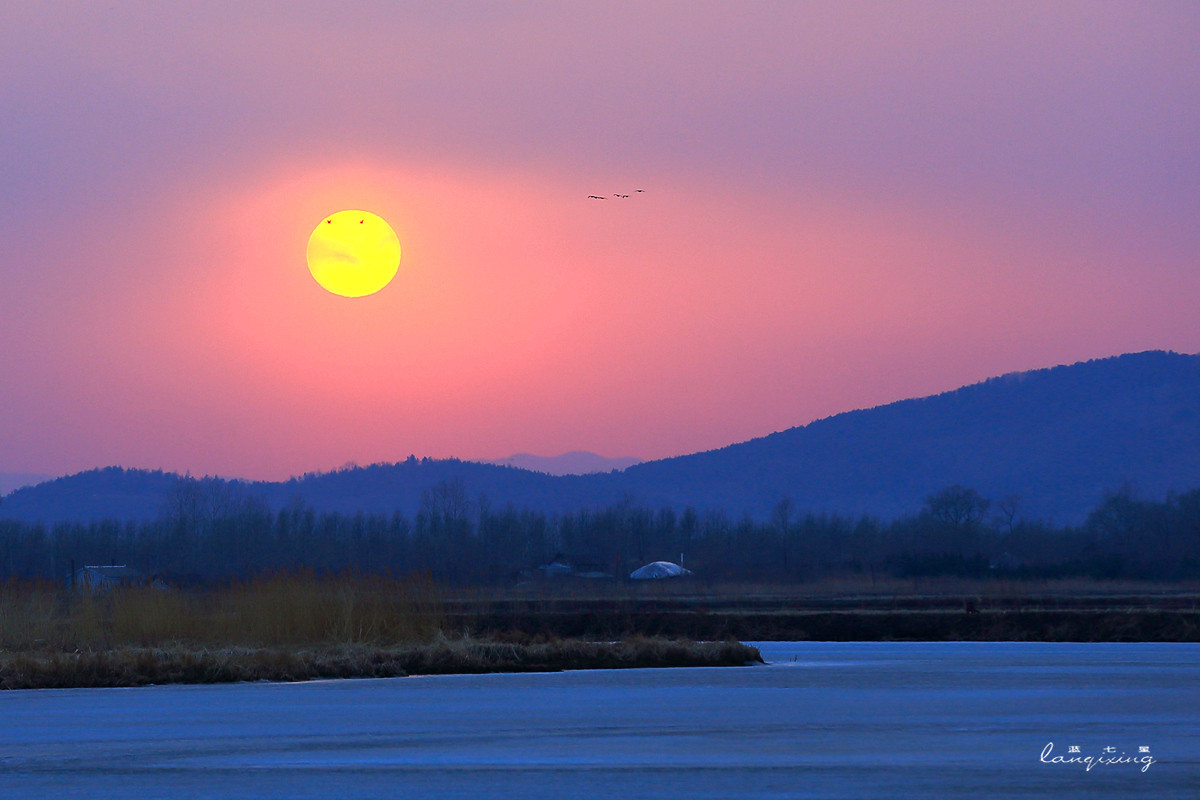 东北亚金三角敬信湿地观鸟