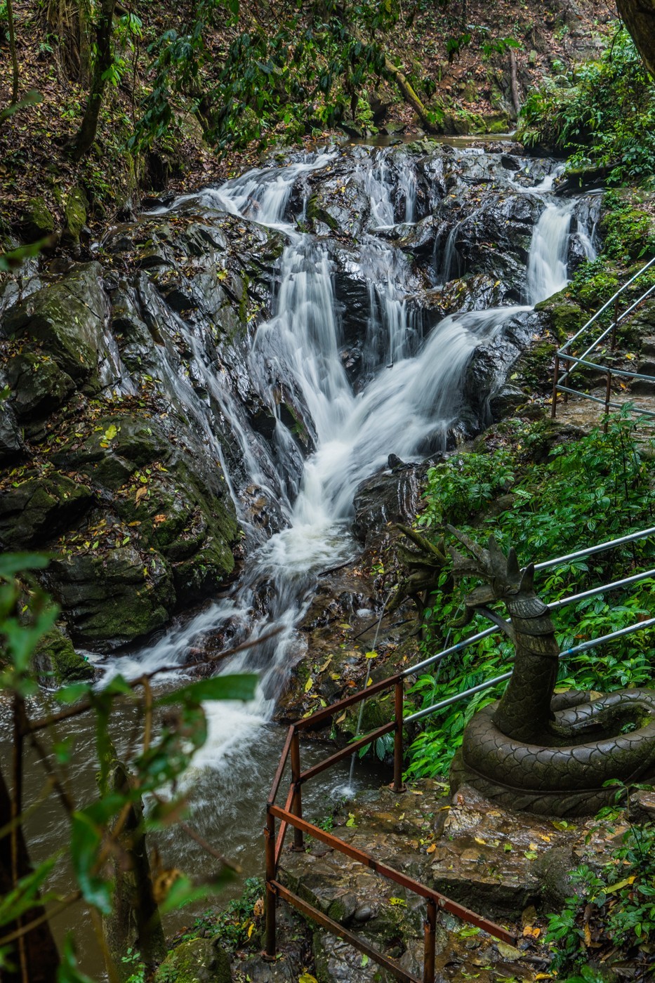 难忘七彩云南丽江莫里热带雨林景区