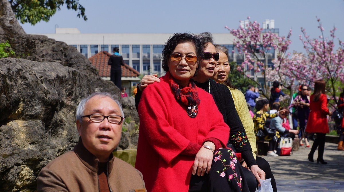 今天重庆邮电大学的樱花很漂亮（A77拍摄）