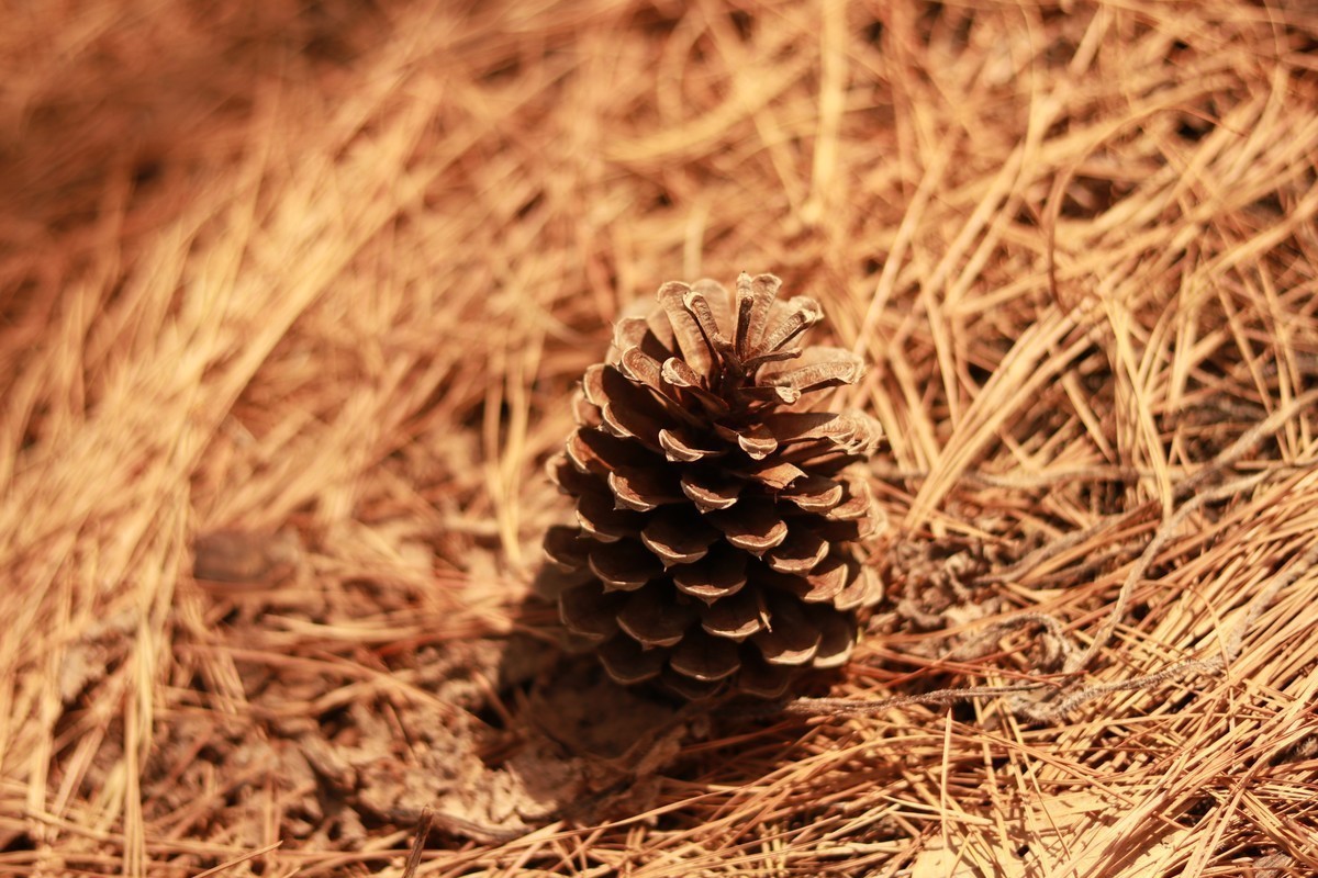 喜欢即可，不在乎好坏