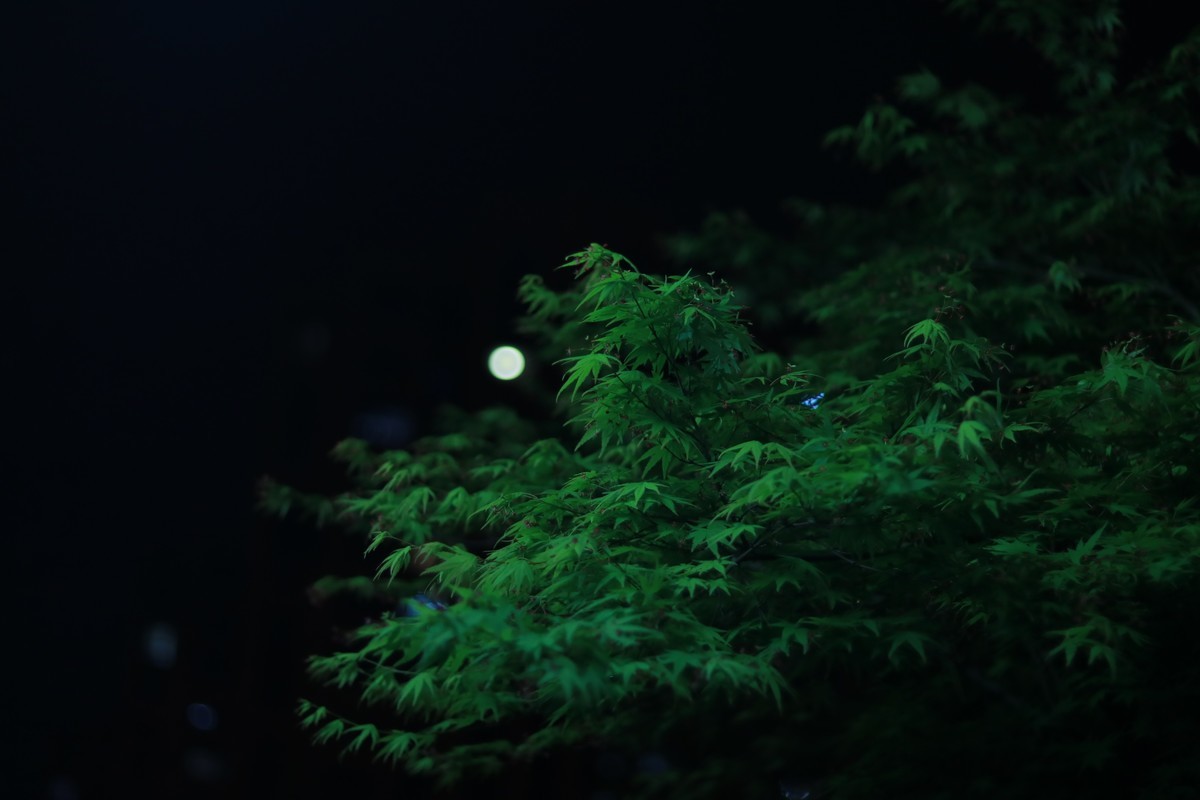 喜欢即可，不在乎好坏