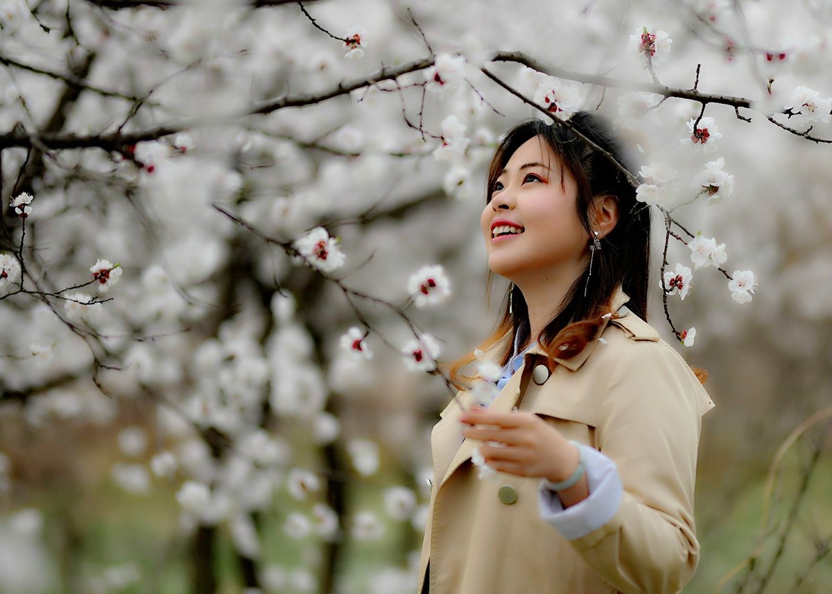 春天里杏花少女